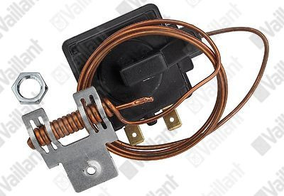 Temperaturbegrenzer, Abgassensor