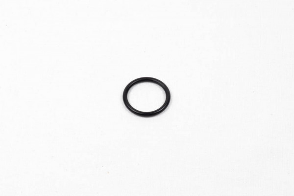O-Ring D 20 x 2,5 (10x)