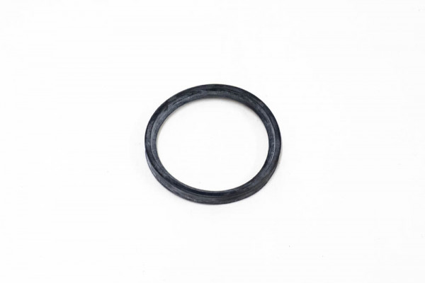 Lippendichtung D 60 Mm.(5x)